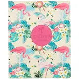 Дневник для средних и старших классов InFolio, Flamingo