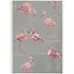Блокнот в клетку «Розовые фламинго», 40 листов, А5 - 0