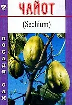 Чайот (Посади сам) (м)