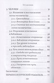 Логос – мир – человек. Космология святого Максима Исповедника - 2