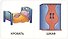 Книга Мои первые слова. Мой дом. 1-2 года - 2