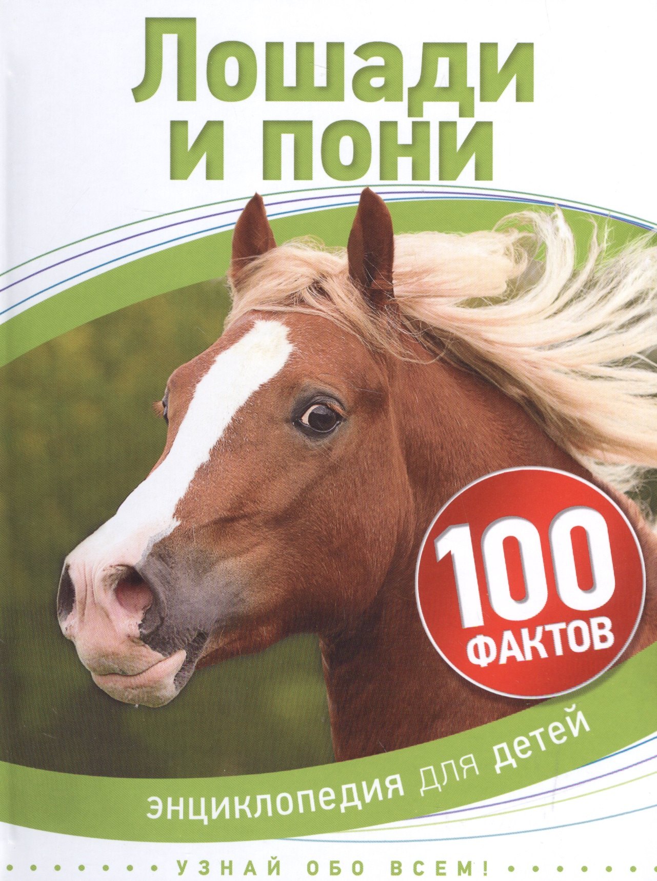 

Лошади и пони