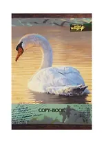 Тетрадь в клетку Academy Style, Wild Wings, А4, 48 листов, в ассортименте