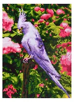 Набор для творчества. Алмазная мозаика "Белый попугай", 30х40 см