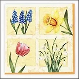 Салфетки, Петропен , Daisy Daisy "Весенние цветы" , 33х33х3 сложения, 20 шт., желтый фон