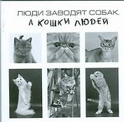 Люди заводят собак,а кошки людей