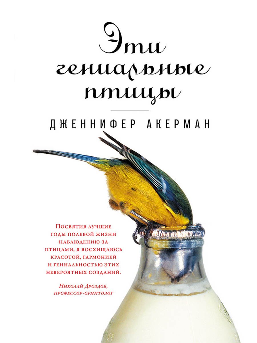 

Эти гениальные птицы