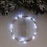 Гирлянда-проволока  LED (20 белых ламп) (1,9 м) - 1