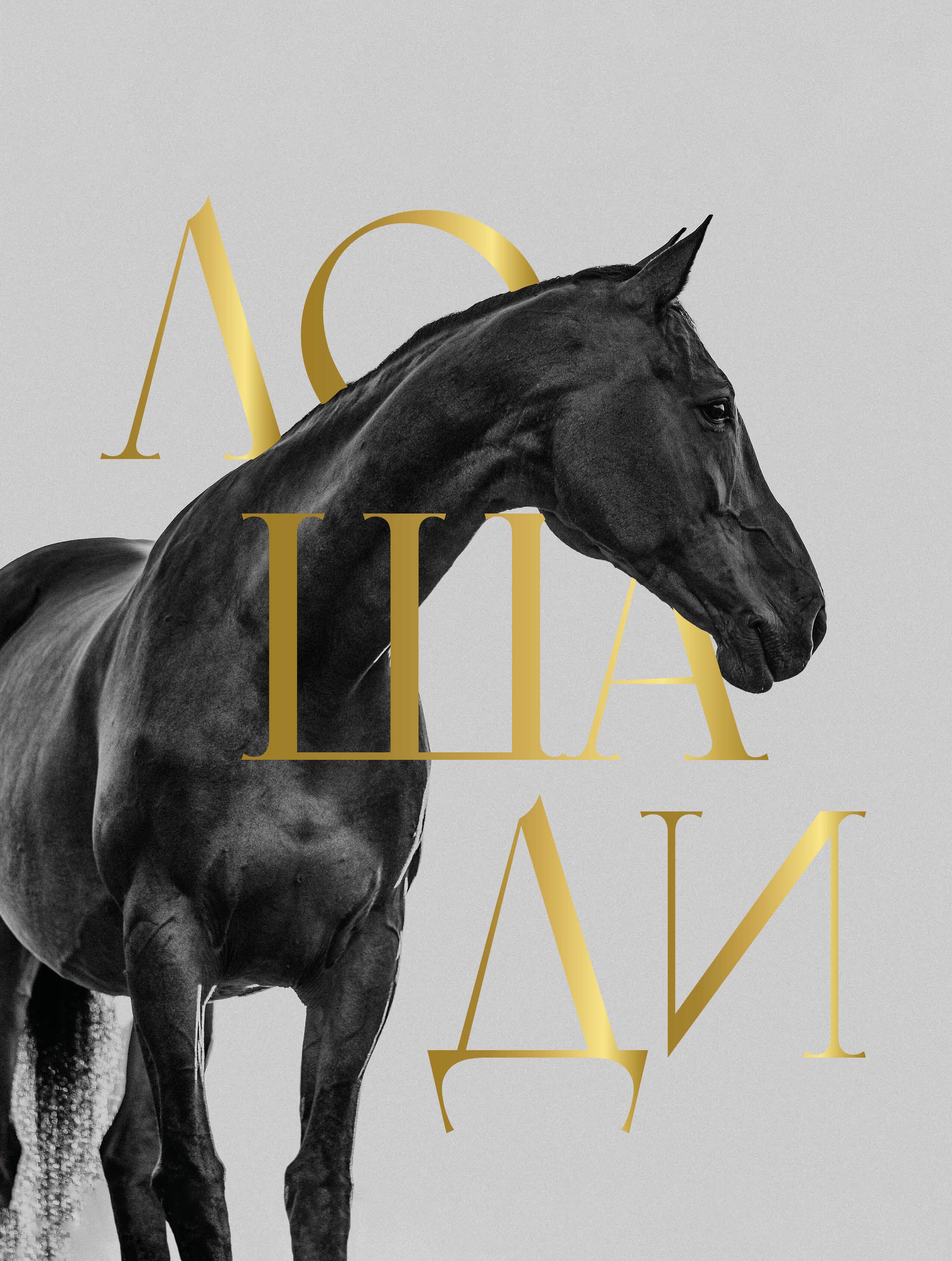 

Лошади. Футляр