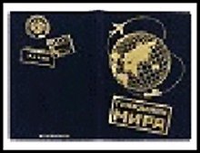 обложка для паспорта "Гражданин мира" 13,7*9,6см пластик 498846