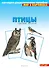 Мир в картинках Птицы средней полосы (3-7) (наглядно-дидактическое пособие) - 1