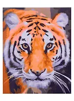 Холст с красками 17х22см по номерам, в коробке (14цв.) Красивый внимательный тигр (Арт. ХК-8164)