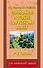 Справочное пособие по русскому языку. 1-2 классы - 0