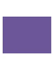 Бумага для пастели 50*65 "Mi-Teintes" 160г/м2 №113 черника, Canson