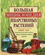 Большая энциклопедия лекарственных растений