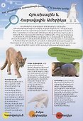 Мой атлас животных (на армянском языке) - 1