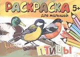 Птицы. Раскраска для малышей