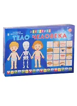 Викторина для малышейТЕЛО ЧЕЛОВЕКА (Арт. ИН-8520)