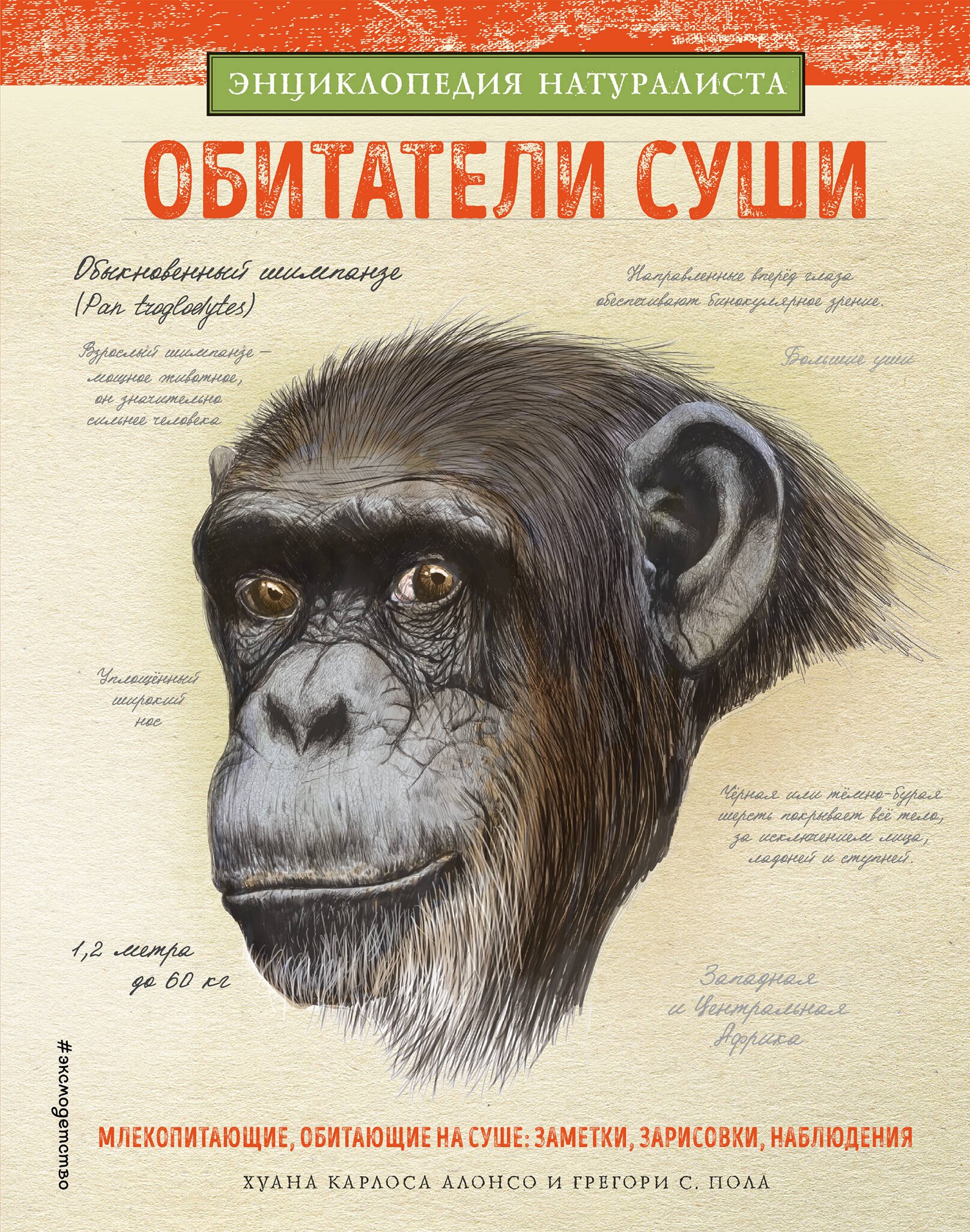 

Обитатели суши
