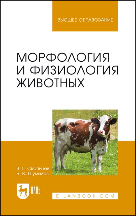 

Морфология и физиология животных. Учебное пособие
