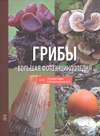 Грибы Большая фотоэнциклопедия. Более 700 видов грибов 2500 эксклюзивных фото