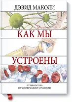 Как мы устроены
