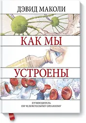 Как мы устроены