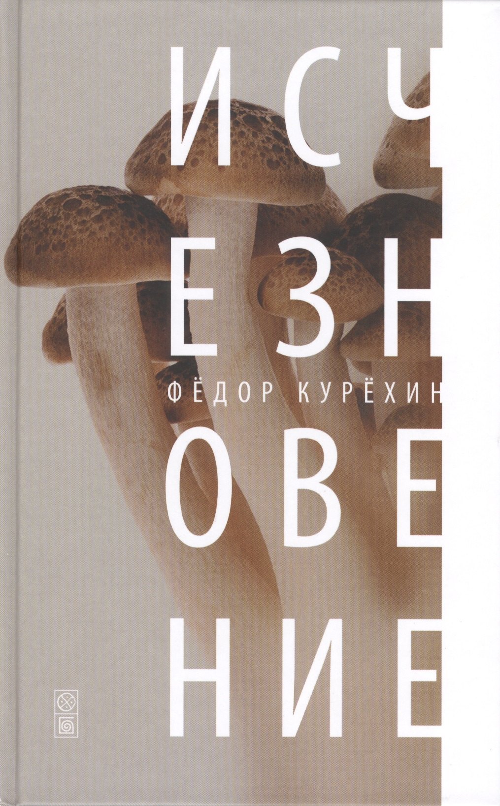 

Исчезновение: роман