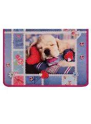 Папка для тетрадей А4 "Сони" молния с трех сторон, откид.планка, инд.уп.