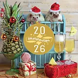 Ёжекалендарь. Ананасное настроение. Календарь настенный на 2026 год (300х300)