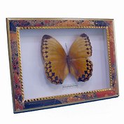 Панно Бабочки, 15х20см (101031)
