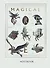 Фантастические твари. Блокнот (B5, 32 л., прошитый цветными нитками, тиснение фольгой) - 0