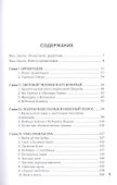 Световой человек в иранском суфизме - 1