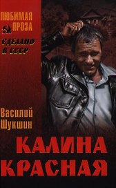 Калина красная
