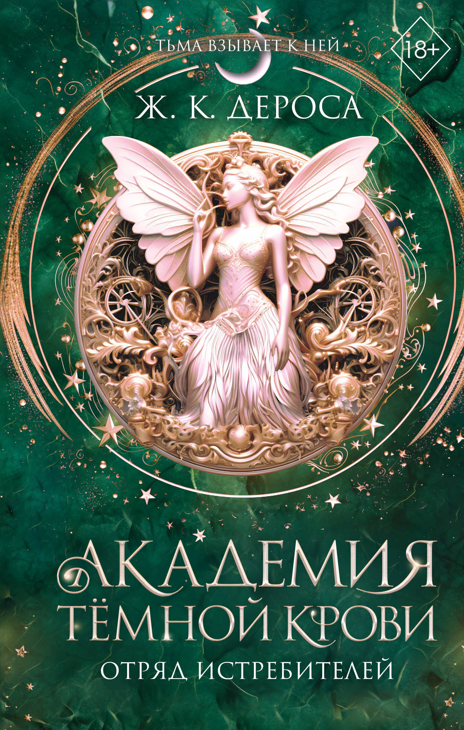 

Академия темной крови. Отряд истребителей (#2)