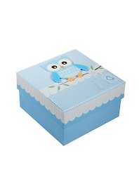 Коробка подарочная "Совы.Owls"