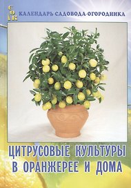 Цитрусовые культуры в оранжерее и дома (мКалендСадОгор)