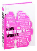 How the Brain Works - 0
