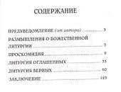 Размышления о Божественной литургии - 1