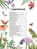 Детская энциклопедия насекомых и других маленьких животных - 2