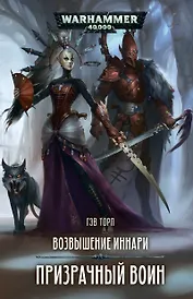 Возвышение иннари. Призрачный воин