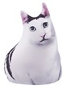 Антистресс Кот белый Мем (24х18) (201.1.1)