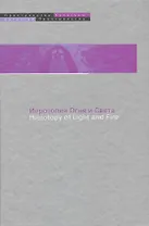 Иеротопия огня и Света в культуре византийского мира