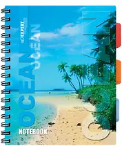 Тетрадь 96л кл. пласт.обл, пласт.разделители, гребень, ассорти, Expert Complete