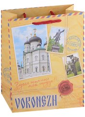 ГС Пакет Воронеж 18*23*8 (бумага)