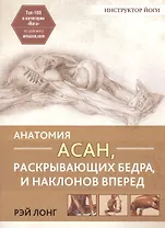 Анатомия асан, раскрывающих бедра, и наклонов вперед