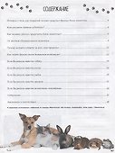 Домашние питомцы и кто за них в ответе - 1