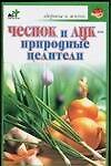 Чеснок и лук-природные целители - 0