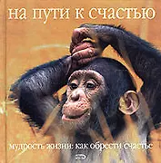 На пути к счастью