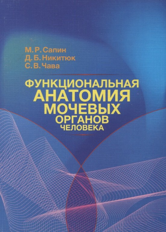 

Функциональная анатомия мочевых органов человека